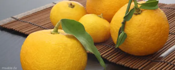 Yuzu Frucht
