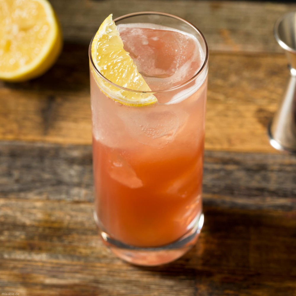 Rezept Sloe Gin Fizz, Cocktails & Drinks mixable.de