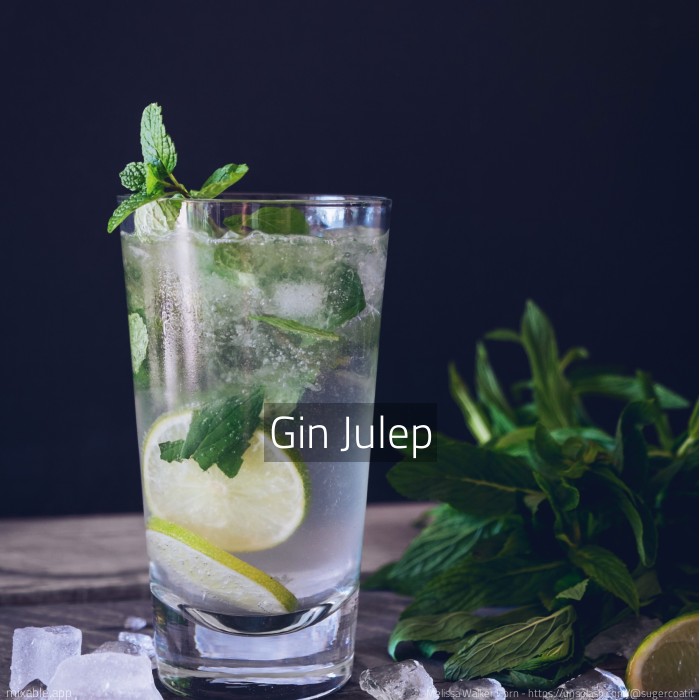 Rezept Gin Julep, Cocktails & Drinks mixable.de
