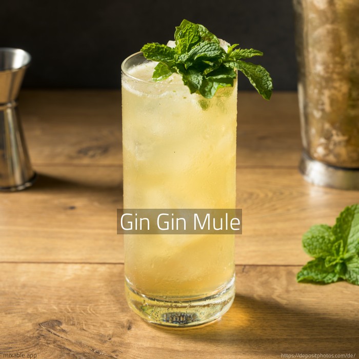 Rezept Gin Gin Mule, Cocktails & Drinks mixable.de