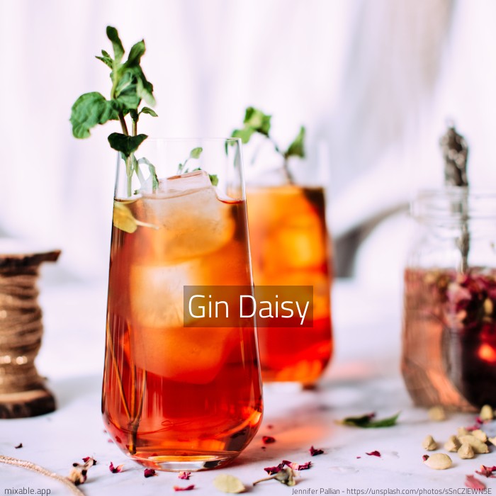 Rezept Gin Daisy, Cocktails & Drinks mixable.de